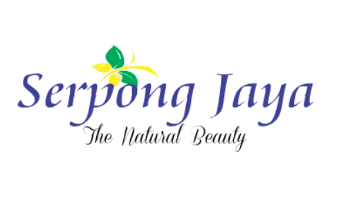 Serpong Jaya - Google Ads